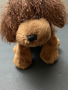 ganz cheektowaga dog