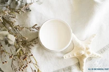 Dixie Belle Silk Paint Salt Water - FREE SHIPPING!