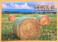 Postcard TX: Scenic View. Hay In Field. Texas