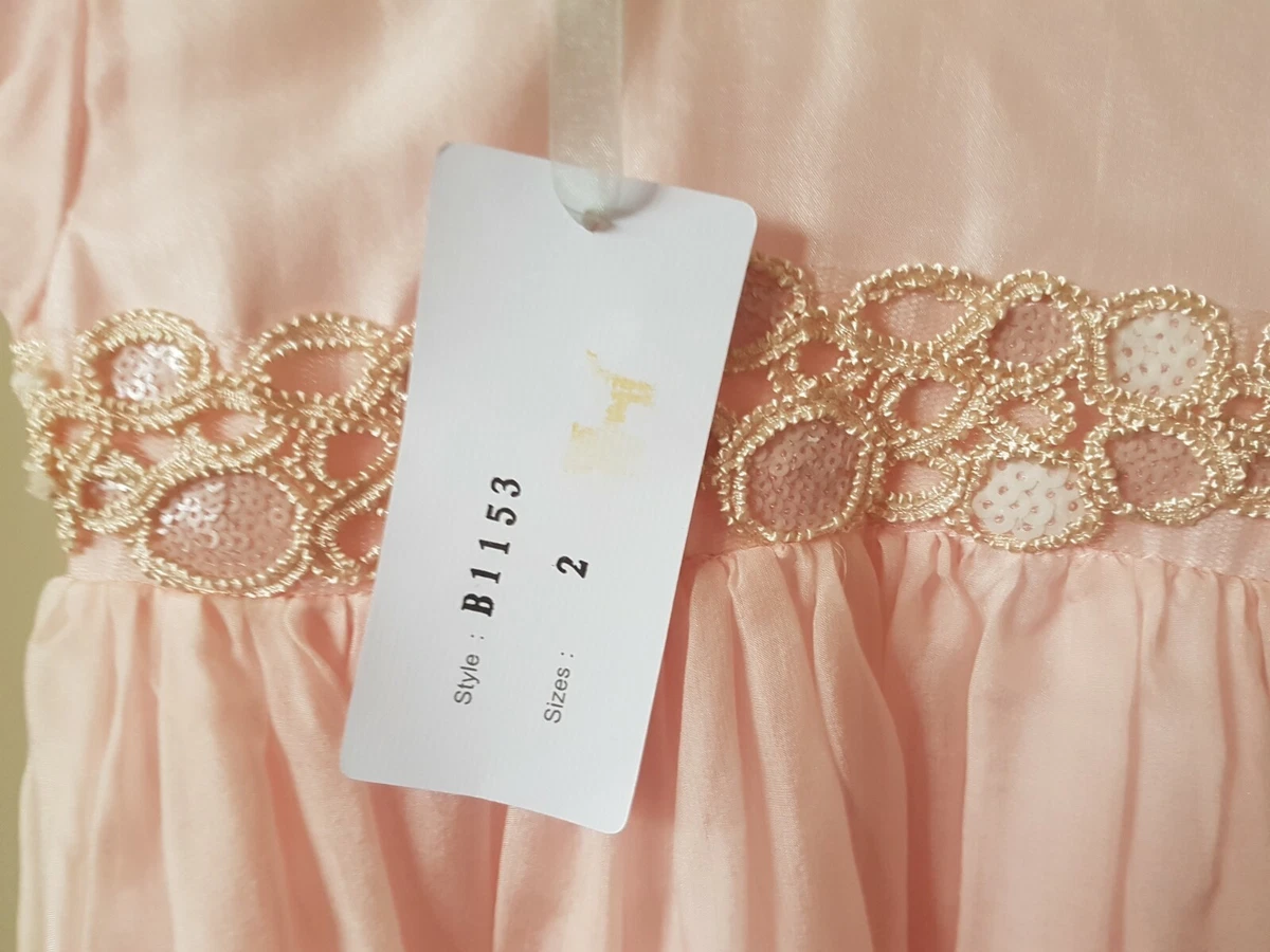Bianne Australia Toddler Girl Formal Soft Pink Silk Dress Size 2