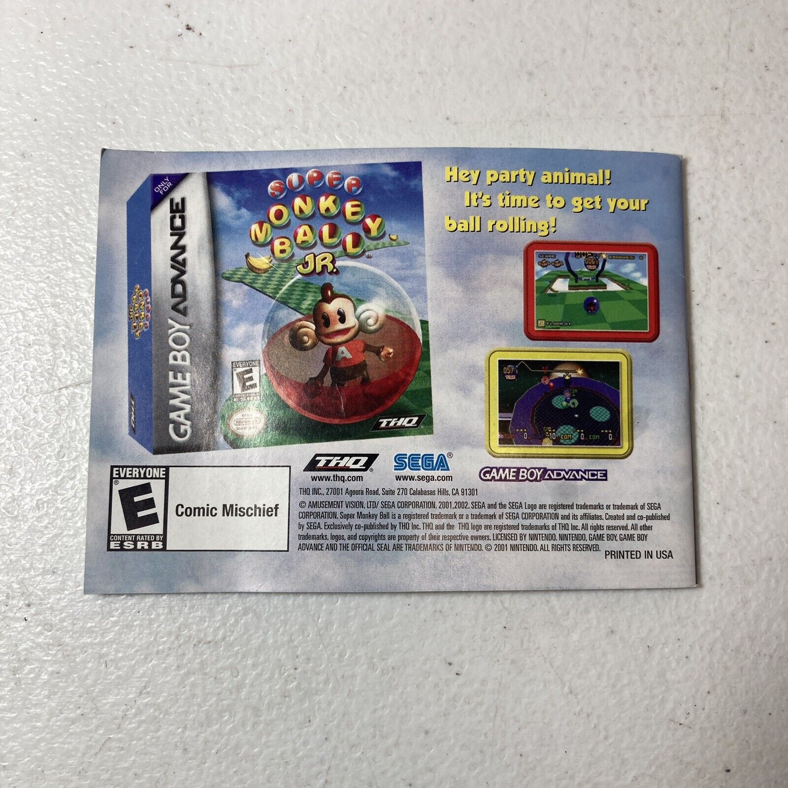 Mickey Mouse Clubhouse (Gameboy Advance Video Game)