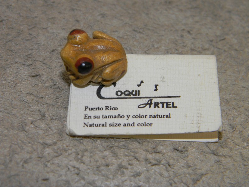 Coqui Artel Carved Tree Frog Pin Back Puerto Rico