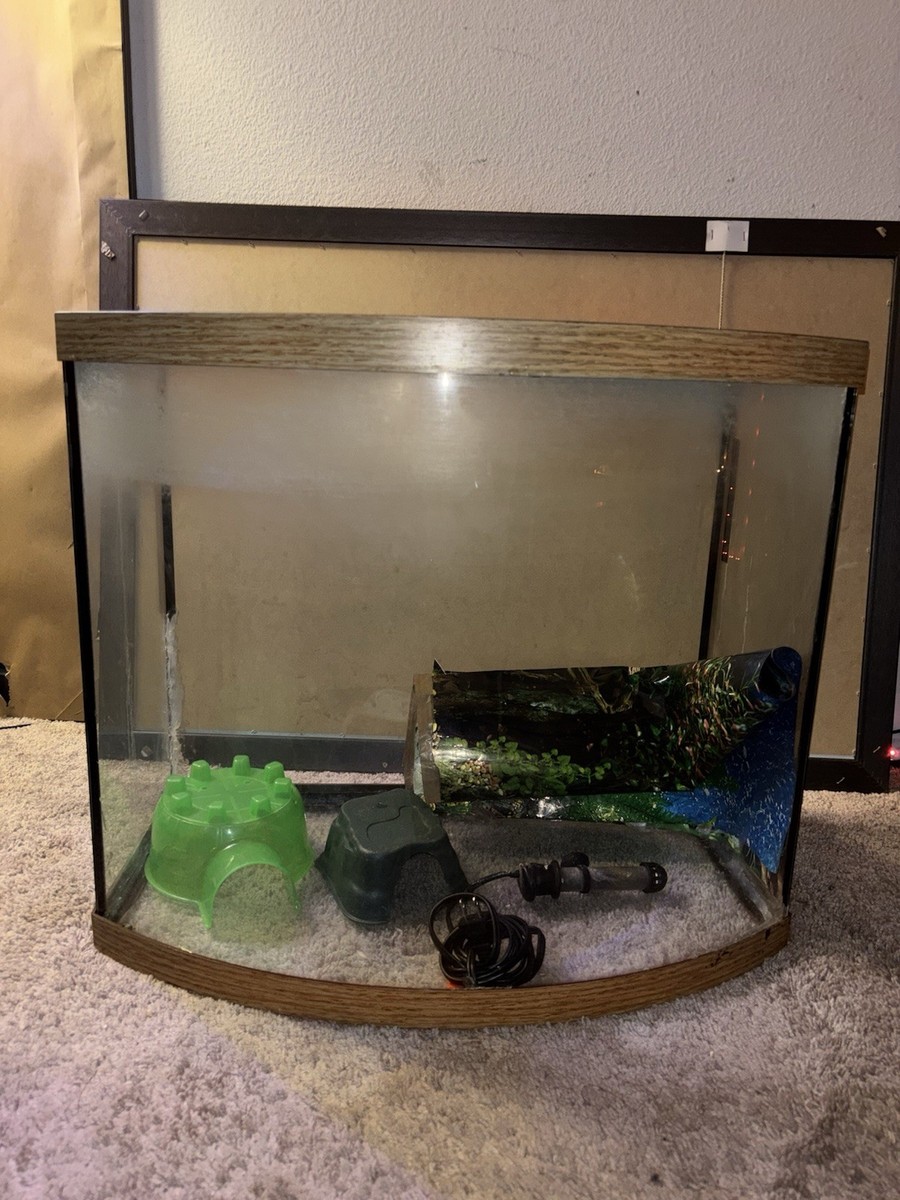 36 Gallon Fish Tank + Decor! (PLEASE READ DESCRIPTION!) | eBay