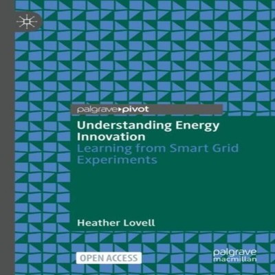 Understanding Energy Innovation Learning from Smart Grid Experime