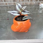 Orange White Black Fox Ceramic Planter Pot, Glossy Finish, Animal Theme — photo 3