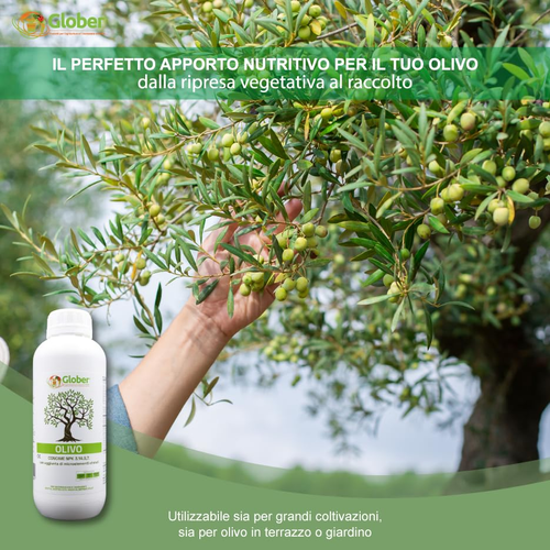 Concime Olivo 1 Litro - 1,2 Kg Concentrato - Made in Italy - Azoto Fosforo E Pot - Foto 3 di 12