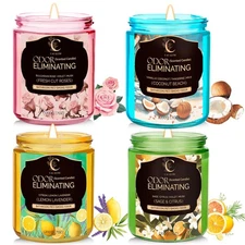 4 Pack Odor Eliminating Candles Set for Pet Smoke, Scented Candles for Home D...
