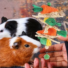 2 Pcs Rabbit Chew Toys Carrot Skewers Baby Small Hamster Animals Molar