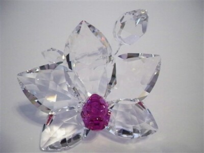 SWAROVSKI ORCHID BLOSSOM 864464 FUCHIA RAIN | eBay