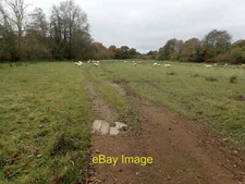 Photo 6x4 Sheep near Glottenham Manor Robertsbridge This field is seen fr c2021