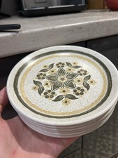 x6 Biltons England Tableware Underglaze Detergent Proof Floral Dinner Plates