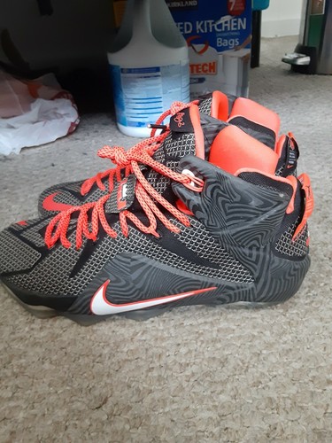 lebron 12 court vision