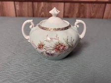 Lovely Unmarked Sugar Bowl Flowers 