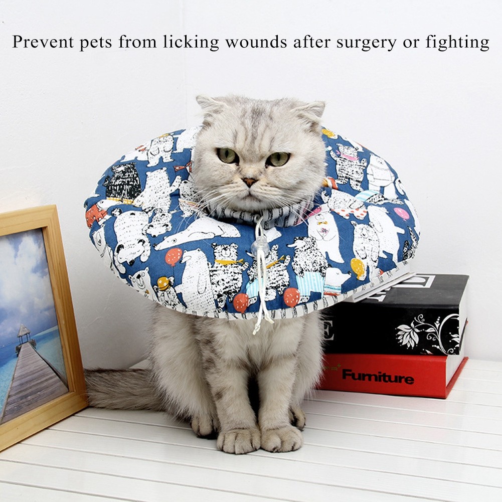 Soft Edge Cat Protection Collar For Healing - Durable & Comfortable Excellent