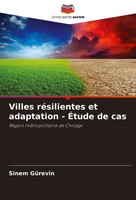 Villes RéSilientes Et Adaptation - ÉTude De Cas RéGion MéTropolitaine De Chicago