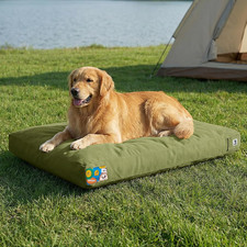 Extra Large 42" Waterproof Canvas Dog Bed with Removable Cover - Green