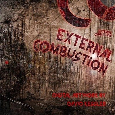 External Combustion by David Kessler (English) Paperback Book