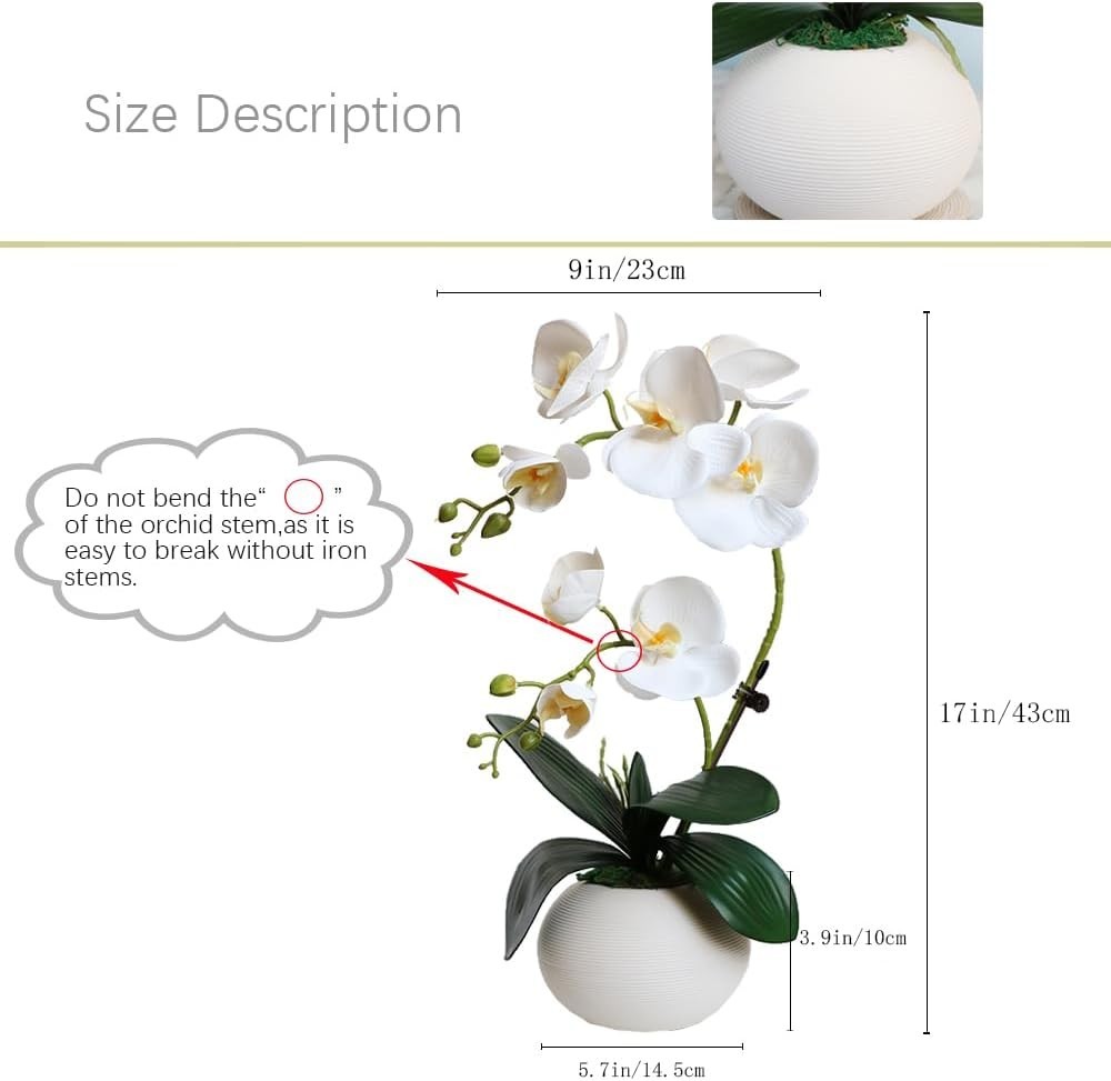 Slide 6