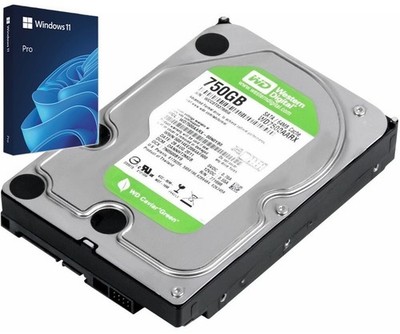 Western Digital 750GB 3,5'' Festplatte + Windows 11 Pro, ohne TPM & Secure Boot