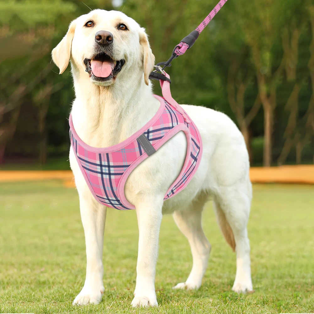 Dog Harness Breathable Mesh Adjustable Control Reflective Vest & Leash Set Pink
