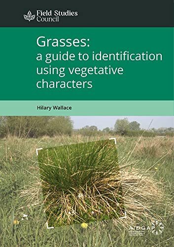 Hilary Wallace Grasses: a guide to identification using vegetative c (Tascabile)