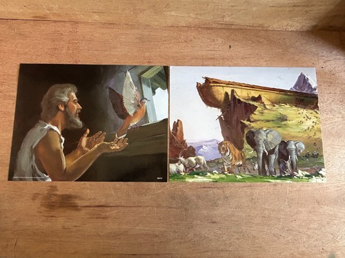 Enoch Noah Babel Flash-A-Card Beka Book Genesis 3 Lessons 18 Cards Series 2 - Bild 24 von 24