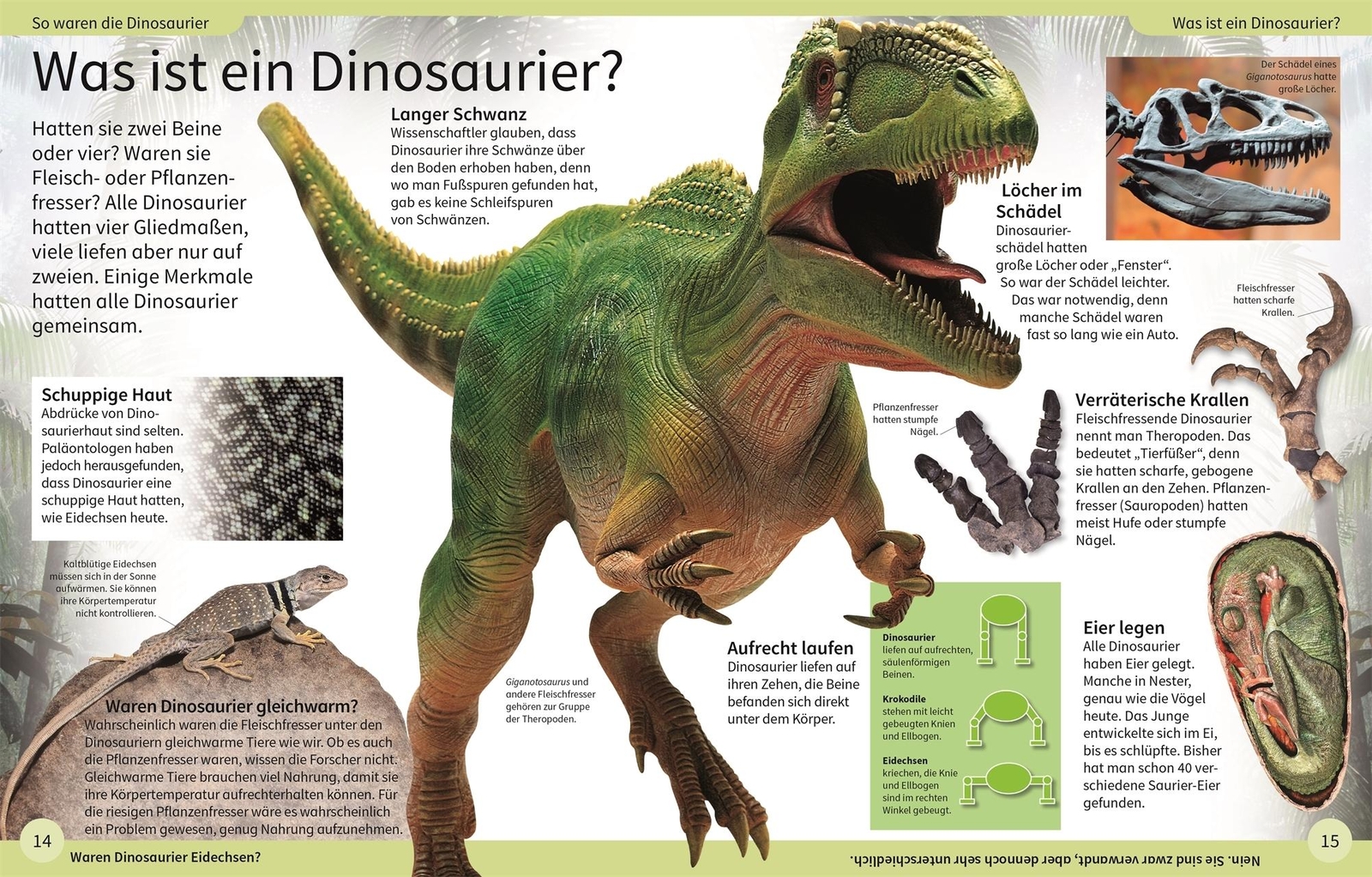 Thumbnail - Dk Kinderlexikon. Dinosaurier Dk Verlag