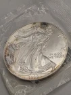 1999 Silver Eagle BU From U.S. Mint *Spot Toning