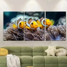 3pcs Anemonefish Three Clown Fish E Wall Art Canvas Framed 50x70cm