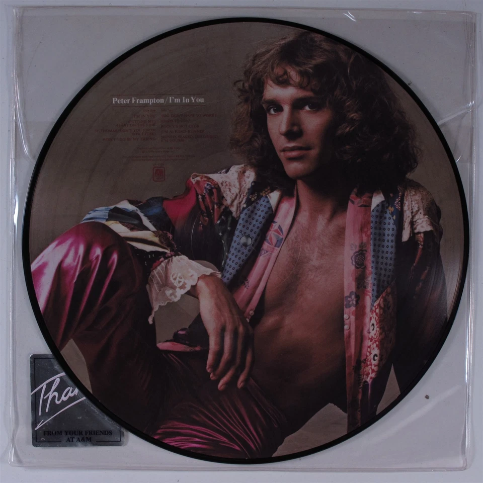 PETER FRAMPTON I'm In You A&M LP VG+ picture disc y - Image 2 of 2