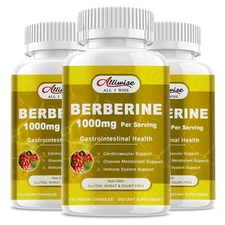 3 Pack Berberine HCL 1000mg Supplement - Berberine HCI Capsules High Absorption