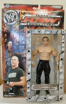 2003 WWE Shawn Michaels RAW Tenth Anniversary Wrestling Action Figure JAKKS (9B)