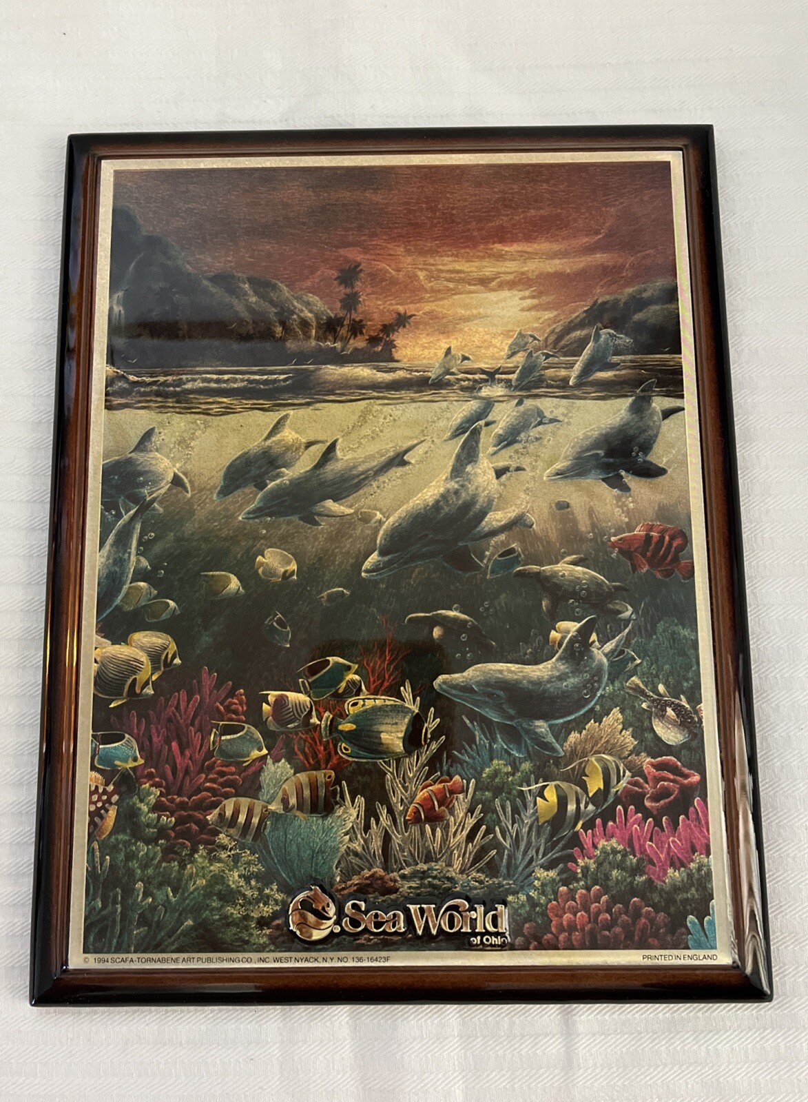 Picture 1 of 4