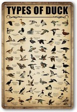 Type Of Duck Tin Sign Duck Hunting Decor Mallard Ducks Knowledge Metal Signs NEW