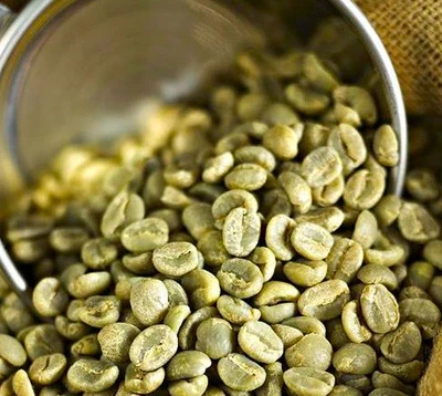HOWELLS FIRE ROAST 5 LBS Green Coffee - Nicaragua Jinotega - smooth, chocolaty, delicious!!