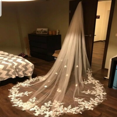 Wedding Veil Lace Edge With Comb | eBay