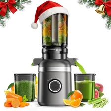 Cold Press Juicer Machines for Whole Vegetables & Fruits Slow Masticating Juicer