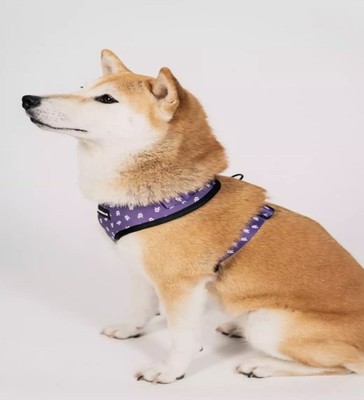 Monstercat Pet Harness Leash Collar Set Size Small Dog Harness Leash 3 Piece