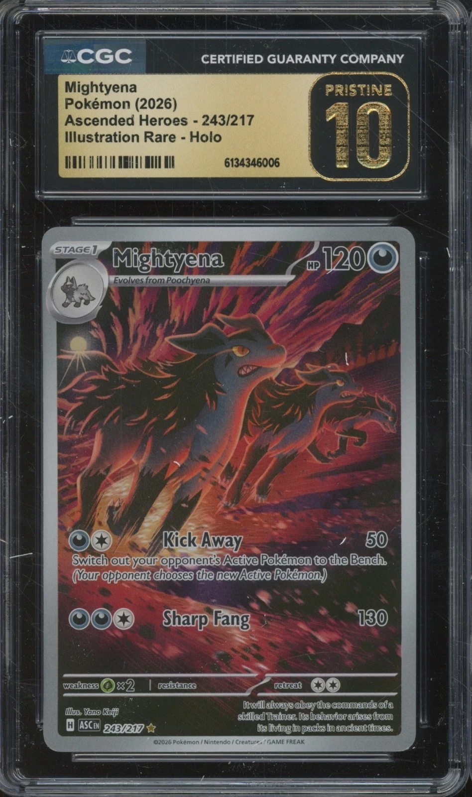 2026 Pokémon Illustration Rare Holo #243 Mightyena Pristine CGC 10