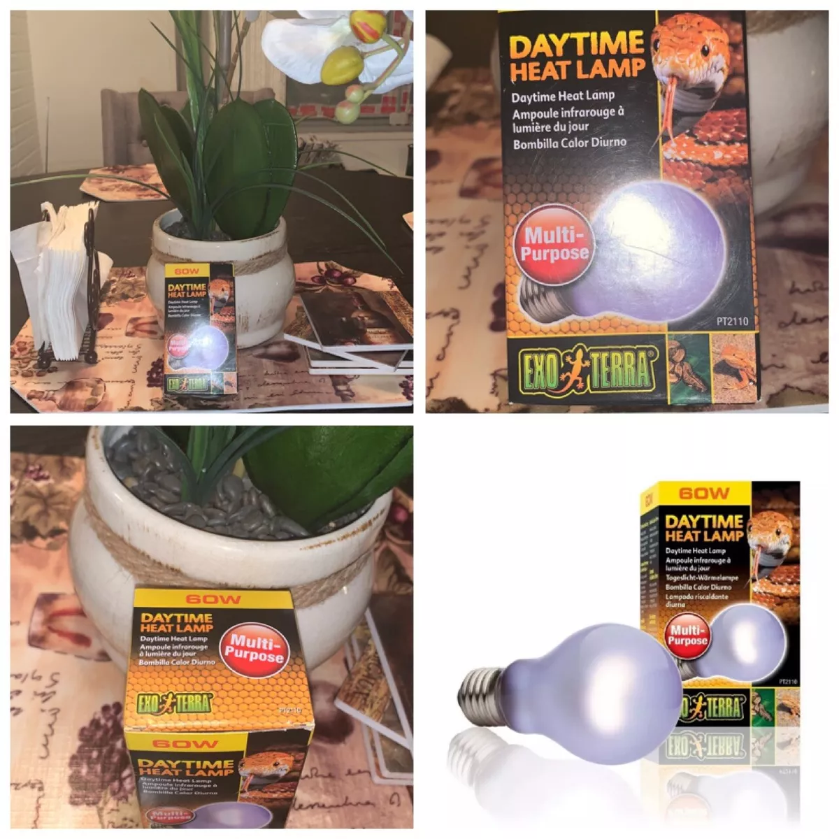 Exo terra daytime heat lamp cheap