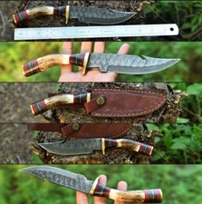 10” Handmade Damascus Steel Skinning Knife STAG Antler Handle OUTDOOR Sheath