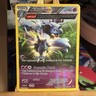 Nidoqueen (Omega) 69/160 XY Primal Clash Reverse Holo Rare Pokemon TCG NM