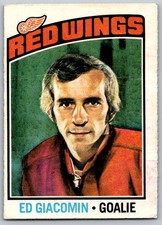 1976-77 O-Pee-Chee #160 Ed Giacomin (ref 171152)