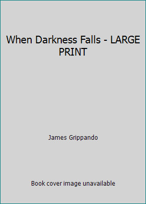 When Darkness Falls - LARGE PRINT by James Grippando