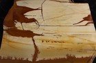 Owyhee Picture Jasper Slab - 6.4 Ozs - Lapidary - Crafts - Display — photo 10