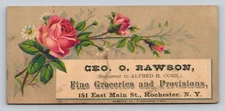 Pink Roses Geo Rawson Fine Groceries Provisions Rochester New York P845