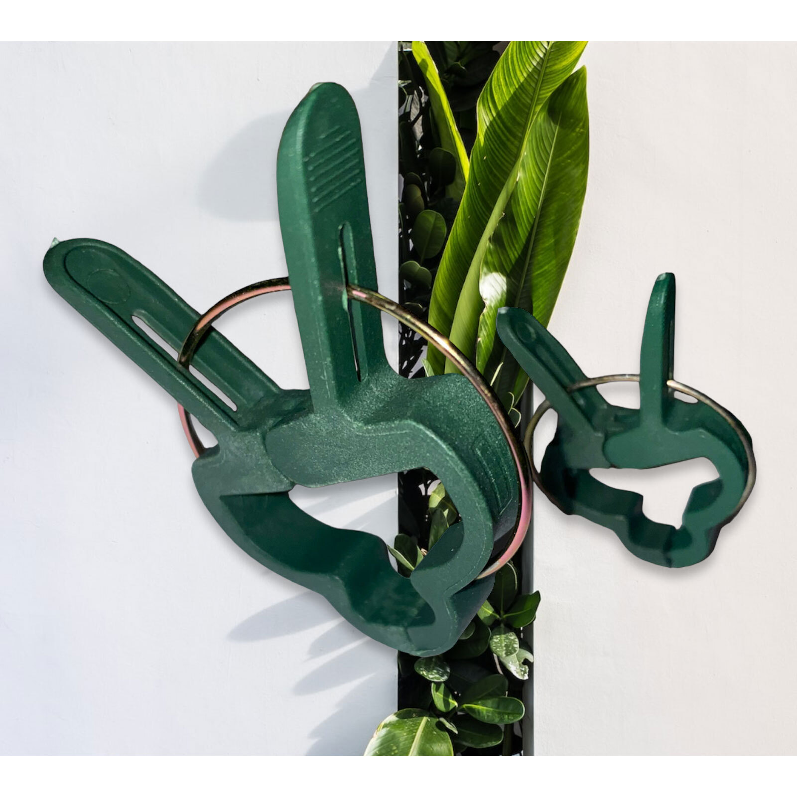 4er Set Pflanzenclips In Froschform - Niedliche Halter Für Ranken & Stängel