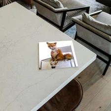 2026 Taxidermy Fails Monthly Wall Calendar - Funny Gag Gift | 12" x 24" | Bad