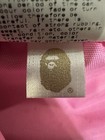 Foto 13 di 14