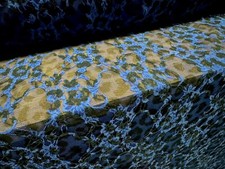Stretch Spandex Mesh Lace Fabric, Per Metre - Cheetah Print - Royal Blue